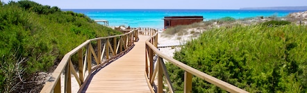 Platja de Migjorn