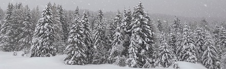 Folgaria
