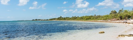 Costa Maya