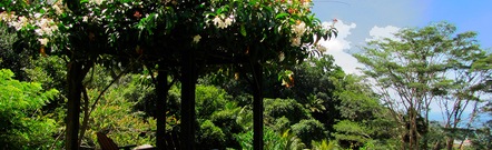 Anse Volbert Village