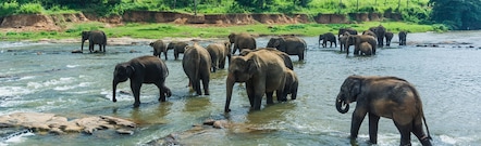 Sri Lanka