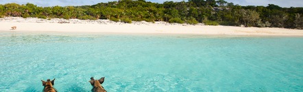 Great Exuma