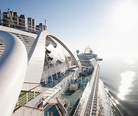 Immagine Emerald Princess 14