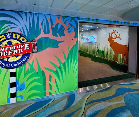 Immagine Allure of the Seas 26