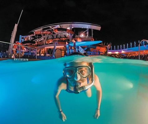 Immagine Harmony of the Seas 21