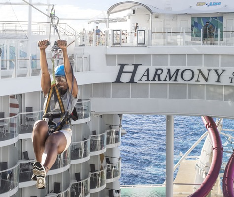 Immagine Harmony of the Seas 11