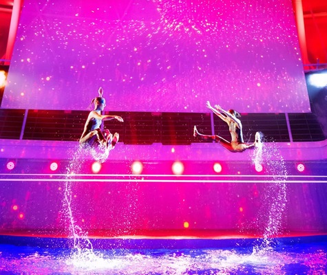 Immagine Utopia of the Seas 27