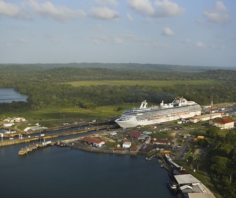 Immagine Coral Princess 14