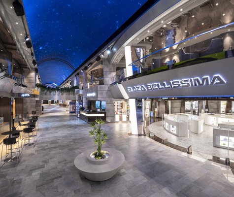 Immagine MSC Bellissima 44