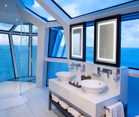 Immagine Celebrity Reflection 15