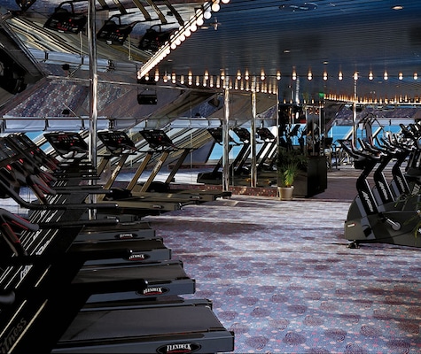 Immagine Carnival Conquest 19