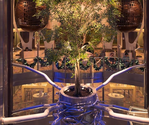 Immagine Celebrity Reflection 25