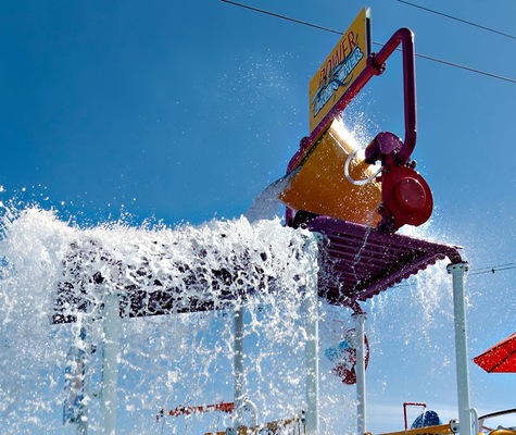Immagine Carnival Spirit 15