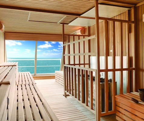 Immagine Carnival Valor 9
