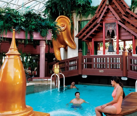 Immagine Radiance of the Seas 26