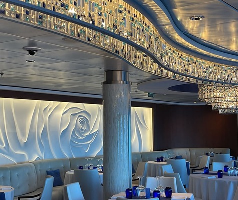 Immagine Celebrity Infinity 14