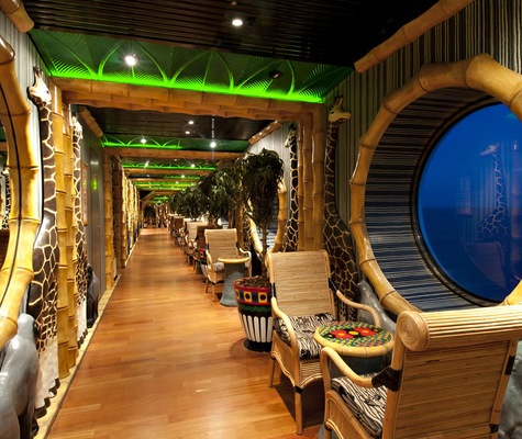 Immagine Carnival Spirit 14