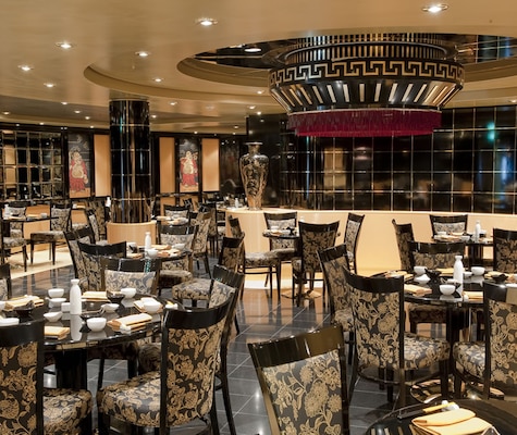 Immagine MSC Magnifica 16