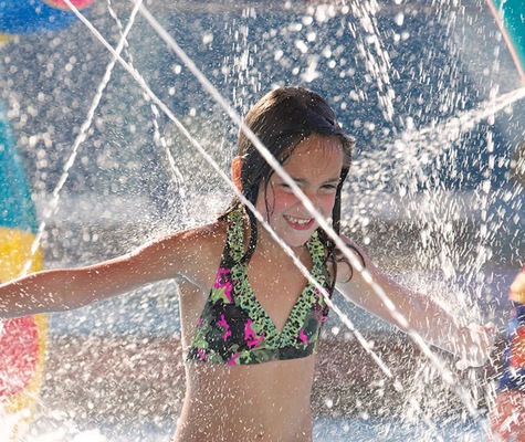 Immagine Freedom of the Seas 16