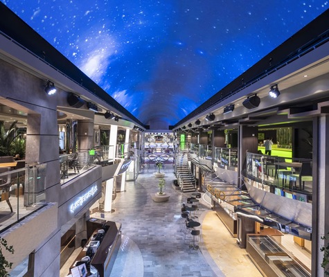 Immagine MSC Bellissima 43
