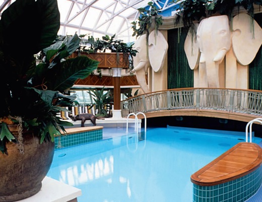 Immagine Radiance of the Seas 24