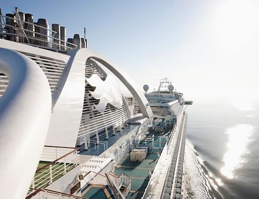 Immagine Emerald Princess 14