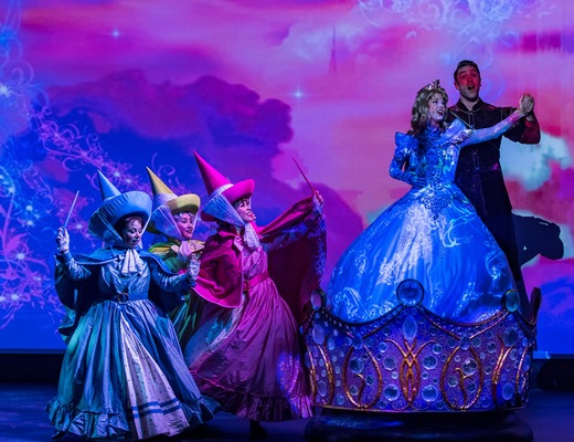 Immagine Disney Wonder 13