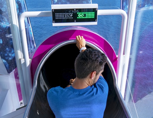 Immagine Symphony of the Seas 10