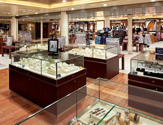 Immagine Nieuw Amsterdam 6
