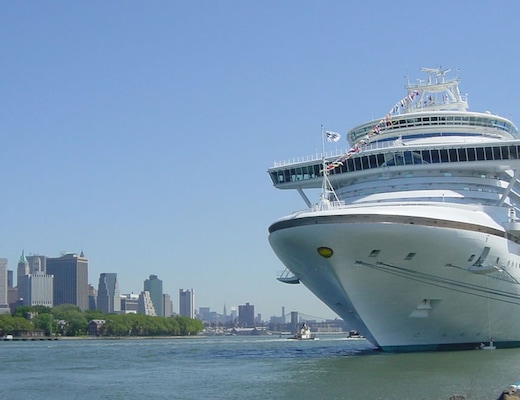 Immagine Crown Princess 24