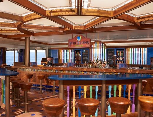 Immagine Carnival Liberty 12