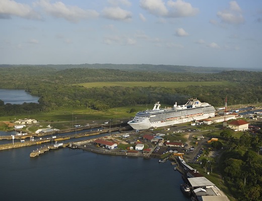 Immagine Coral Princess 14