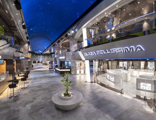 Immagine MSC Bellissima 44