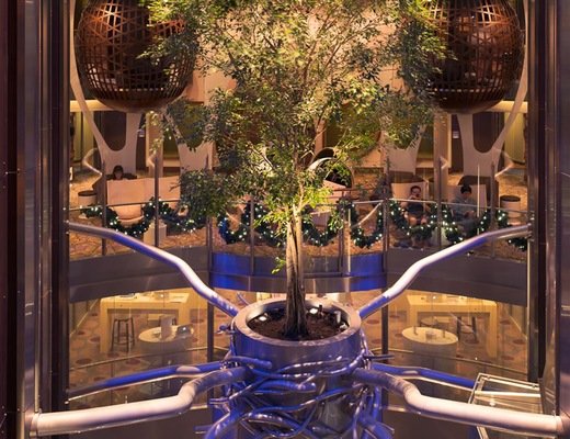 Immagine Celebrity Reflection 25