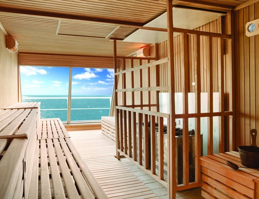Immagine Carnival Valor 9