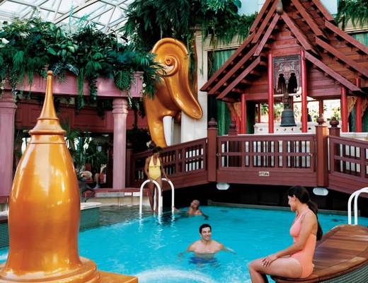 Immagine Radiance of the Seas 26