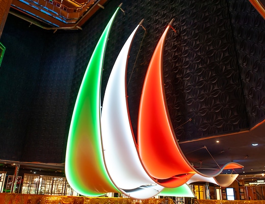 Immagine Costa Fortuna 8