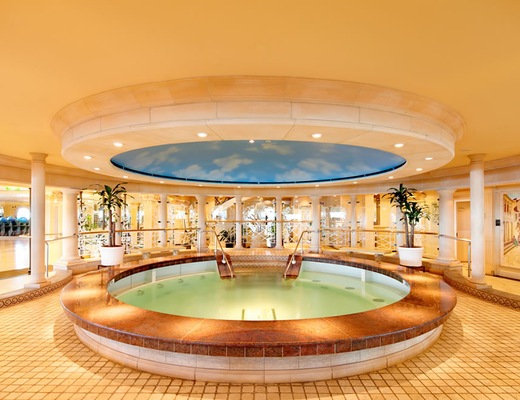 Immagine Voyager of the Seas 35