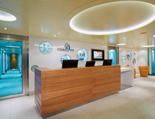 Immagine Carnival Sunshine 13