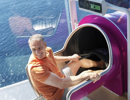 Immagine Harmony of the Seas 52