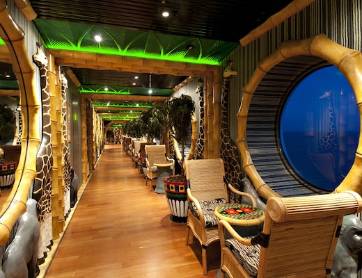 Immagine Carnival Spirit 14