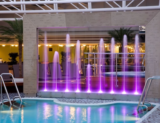 Immagine Eurodam 10