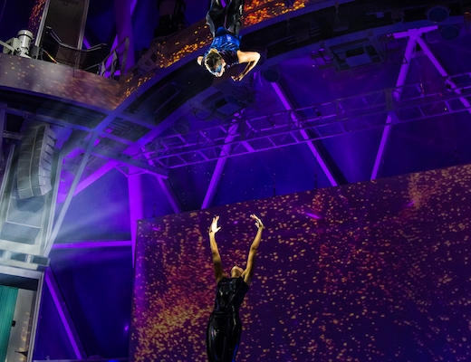 Immagine Wonder of the Seas 23