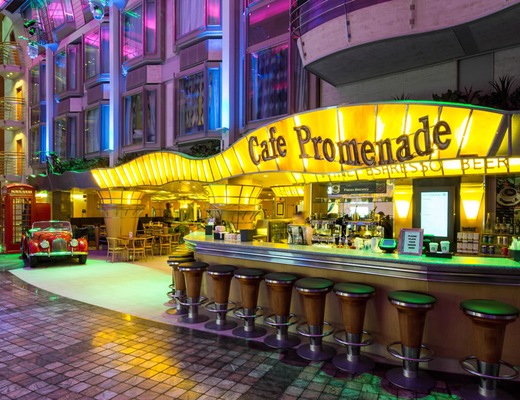 Immagine Voyager of the Seas 8