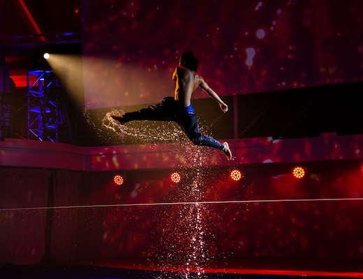 Immagine Wonder of the Seas 24