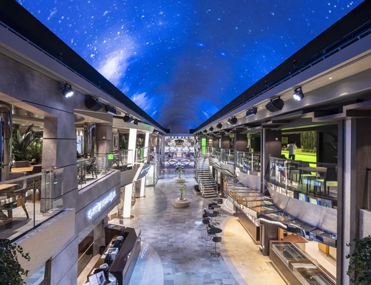 Immagine MSC Bellissima 43