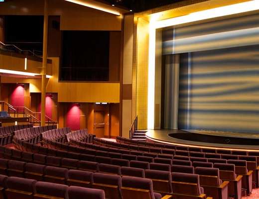 Immagine Ovation of the Seas 17