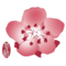 Voli di CHINA AIRLINES CI