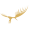 Voli di AIRCAIRO SM