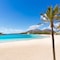 Chollo 3* Alcudia - map